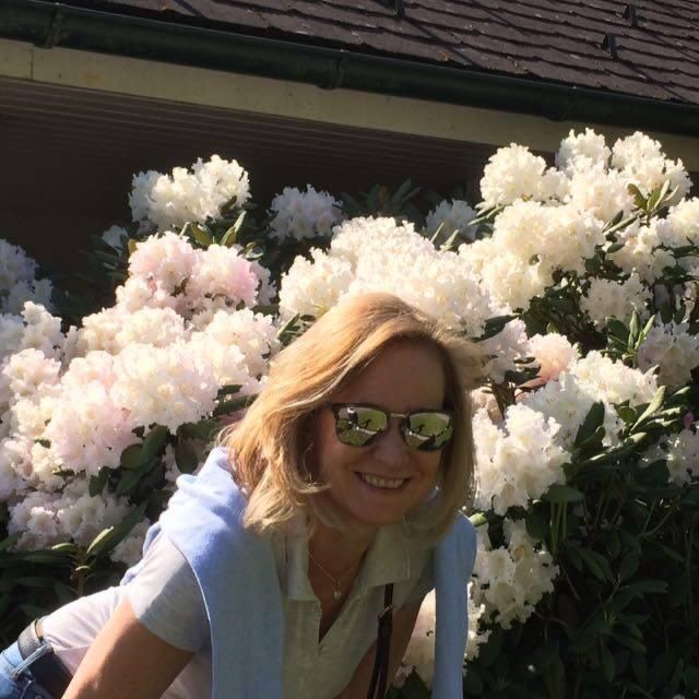 Foto unseres Dozenten / unserer Dozentin